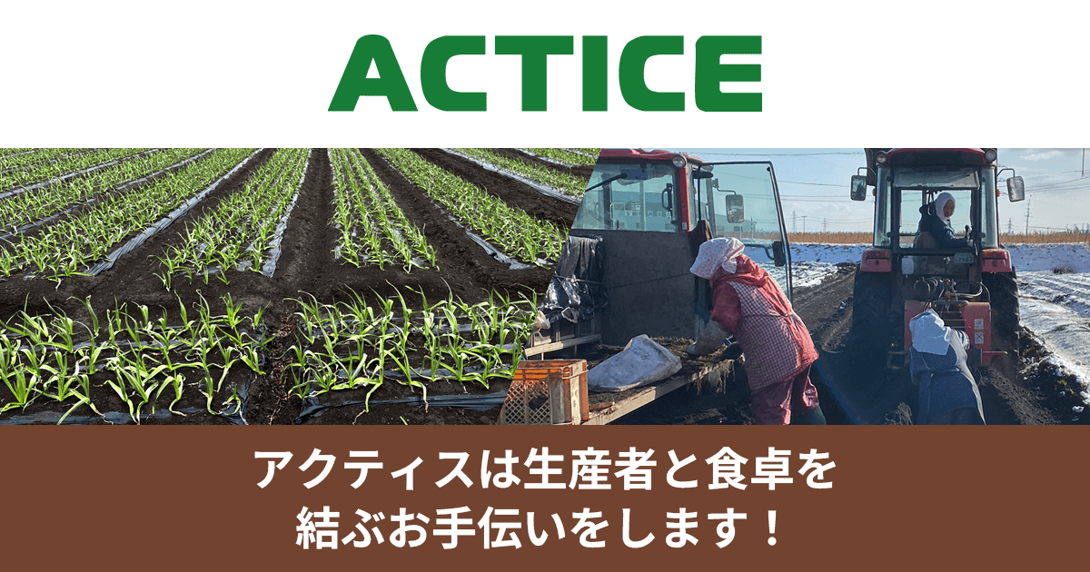 株式会社アクティス