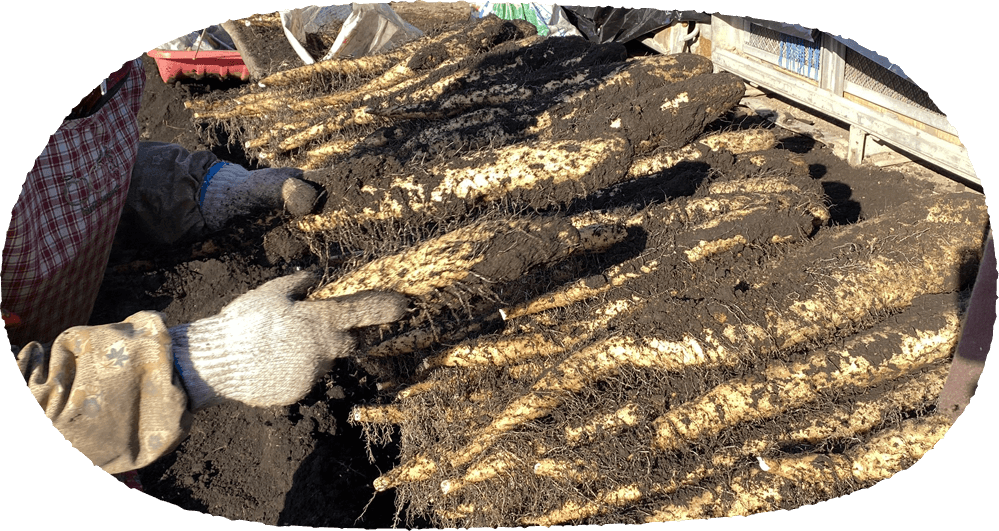 メインイメージ