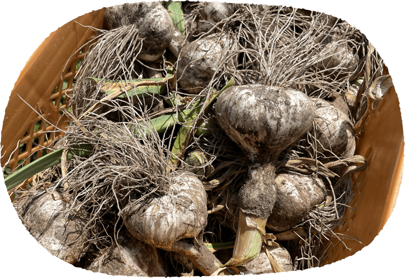 メインイメージ