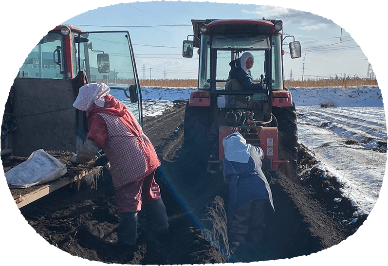 メインイメージ